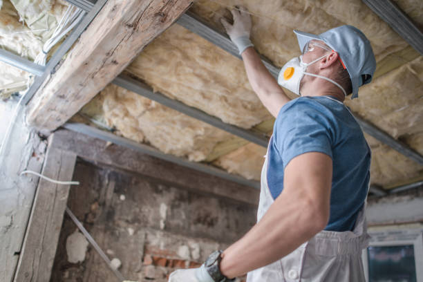 Best Cellulose Insulation in Sewanee, TN